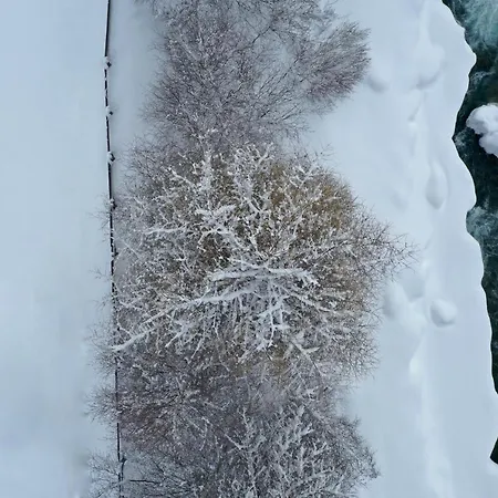 Апартаменты House 55 *